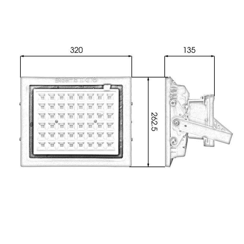 Đèn phòng nổ DNP1S150 - Ảnh 5