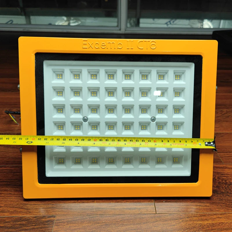 Đèn phòng nổ DNP1S150 - Ảnh 7