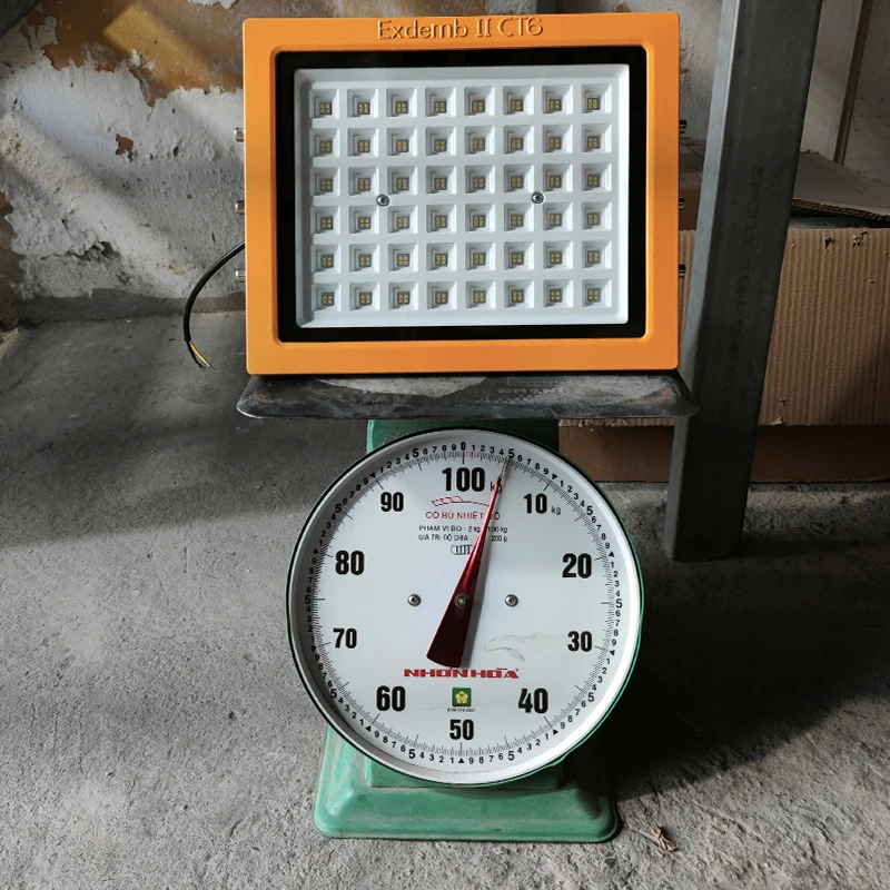 Đèn phòng nổ DNP1S150 - Ảnh 9