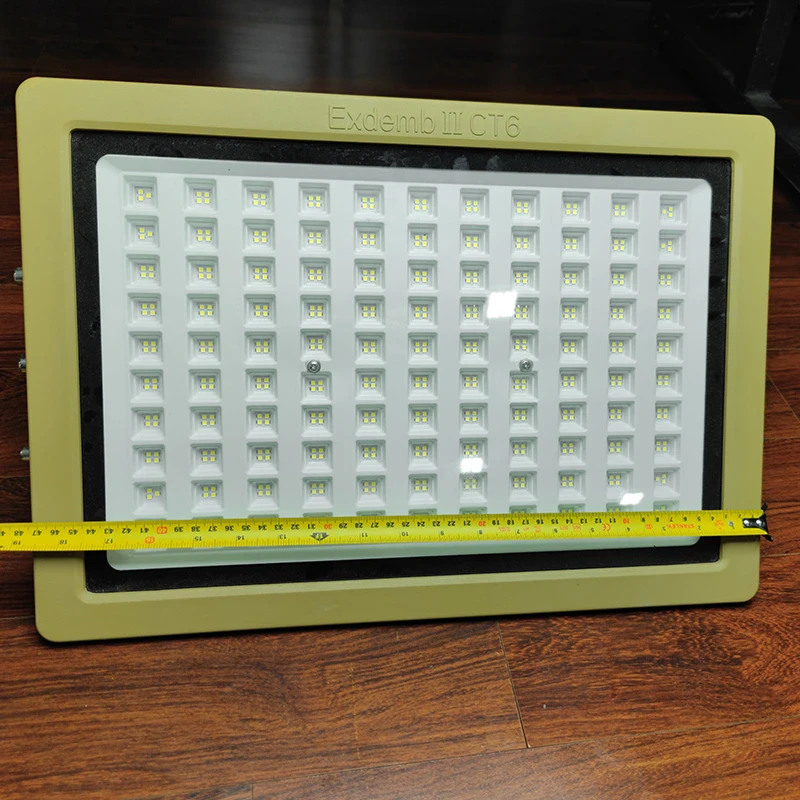 Đèn phòng nổ DNP1S400 - Ảnh 7