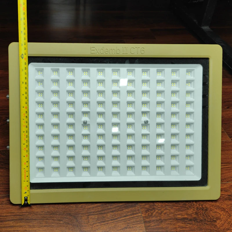 Đèn phòng nổ DNP1S400 - Ảnh 6